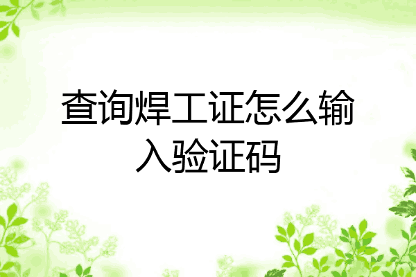 查询焊工证怎么输入验证码