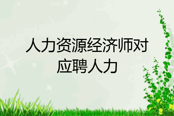人力资源经济师对应聘人力