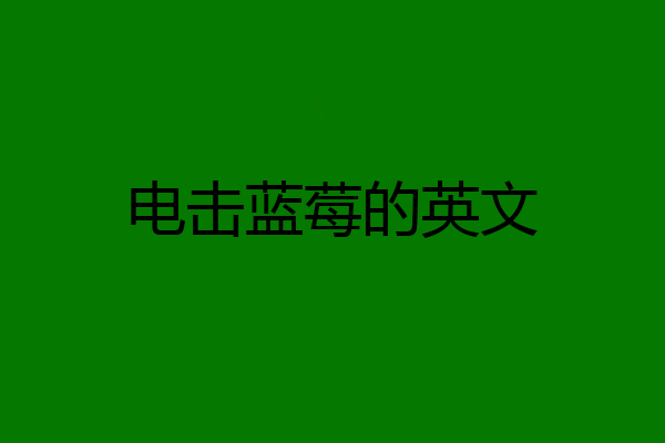 电击蓝莓的英文