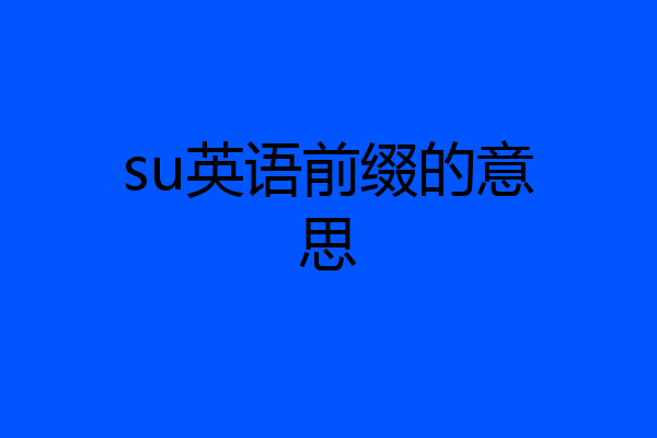 su英语前缀的意思