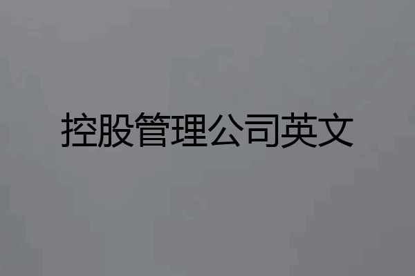 控股管理公司英文