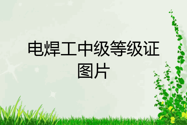 电焊工中级等级证图片