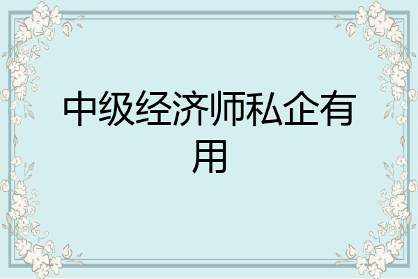 中级经济师私企有用