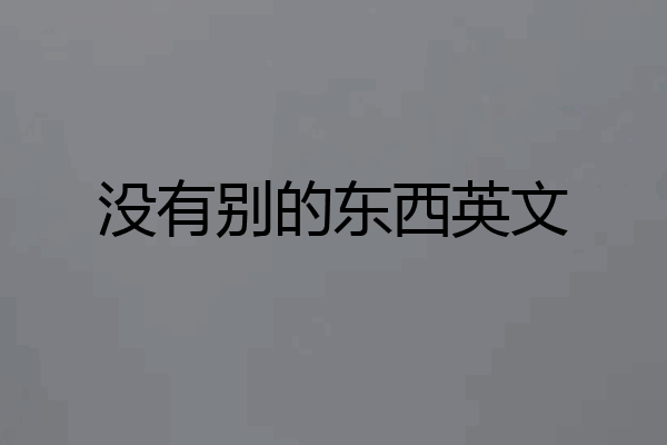 没有别的东西英文