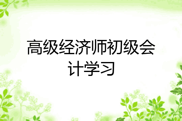 高级经济师初级会计学习