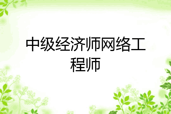中级经济师网络工程师