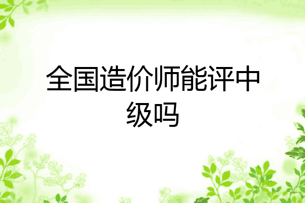 全国造价师能评中级吗