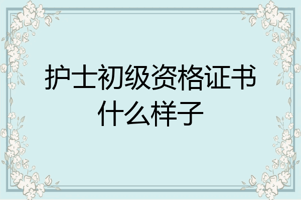 护士初级资格证书什么样子