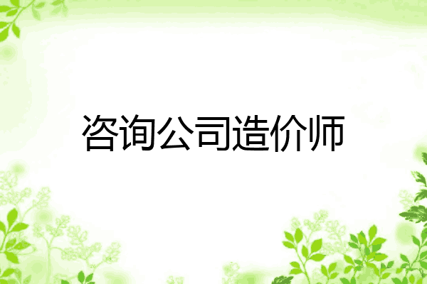 咨询公司造价师