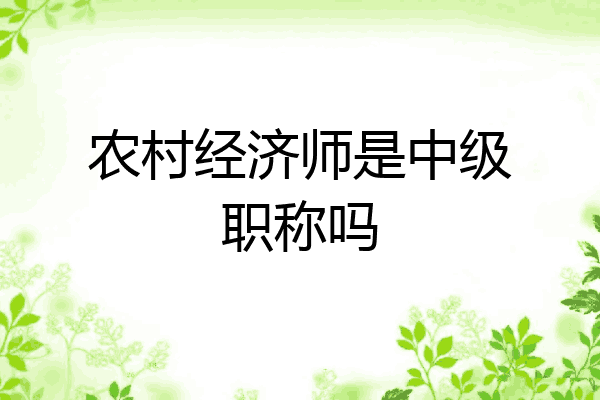 农村经济师是中级职称吗