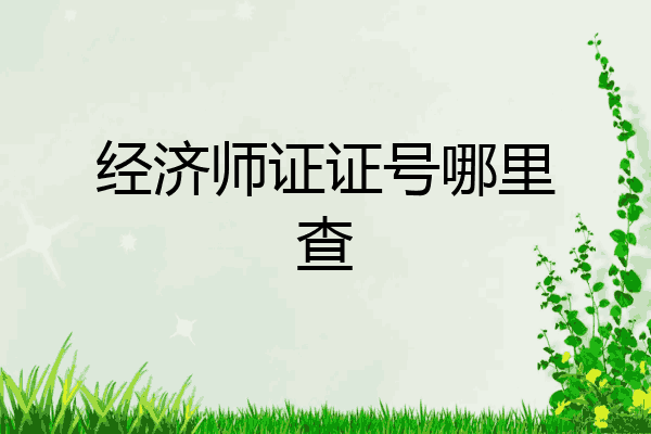 经济师证证号哪里查