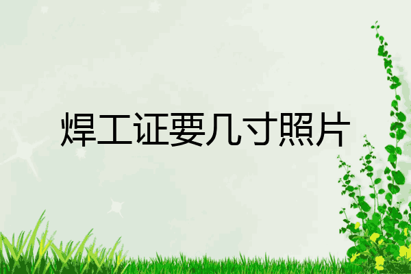 焊工证要几寸照片
