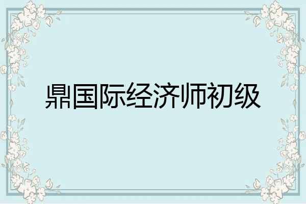 鼎国际经济师初级