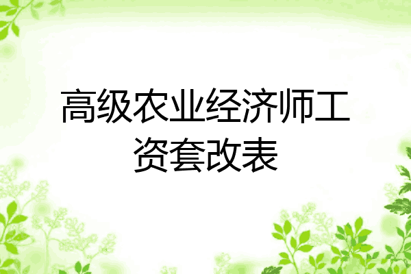 高级农业经济师工资套改表