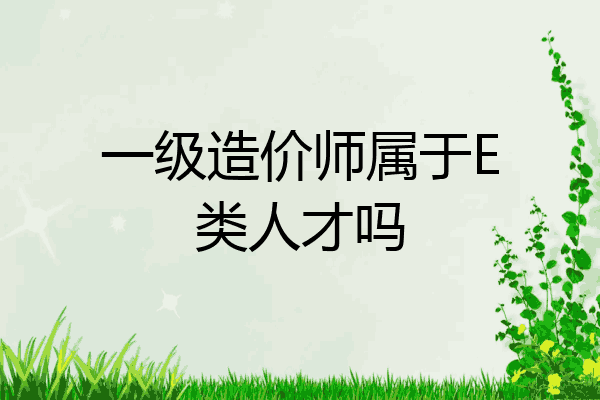 一级造价师属于E类人才吗