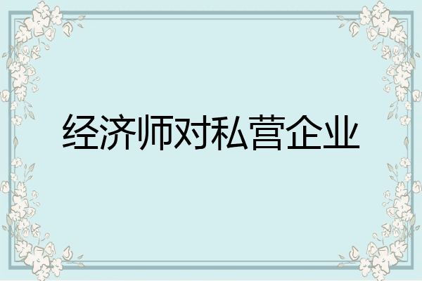 经济师对私营企业