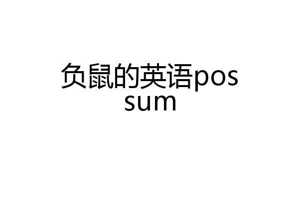 负鼠的英语possum