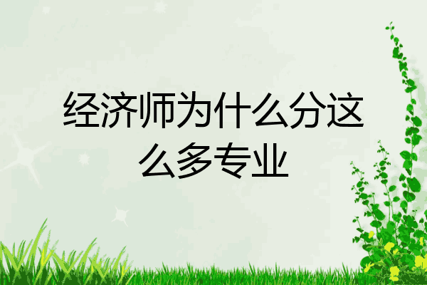 经济师为什么分这么多专业