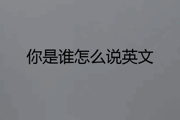 你是谁怎么说英文