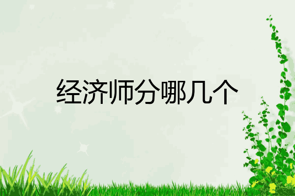 经济师分哪几个