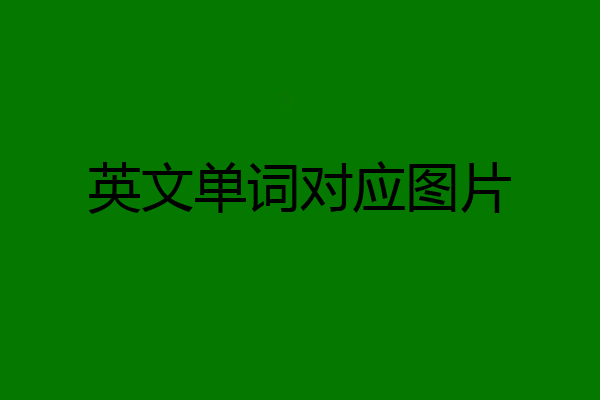 英文单词对应图片