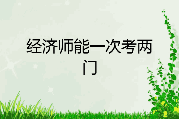 经济师能一次考两门