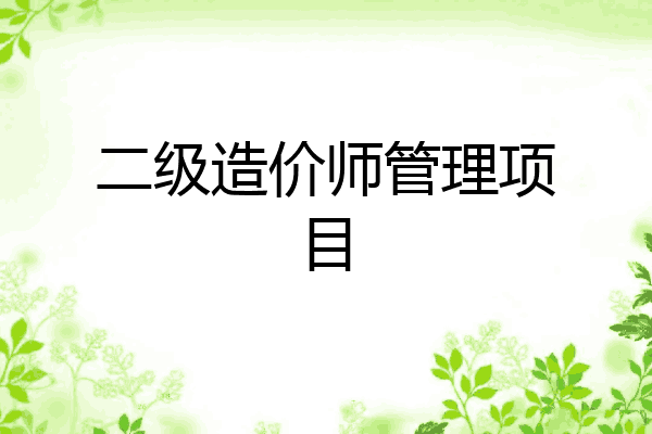二级造价师管理项目