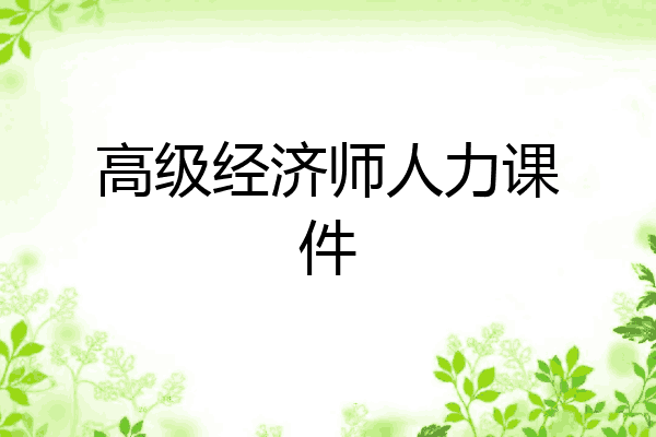 高级经济师人力课件