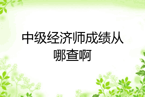 中级经济师成绩从哪查啊