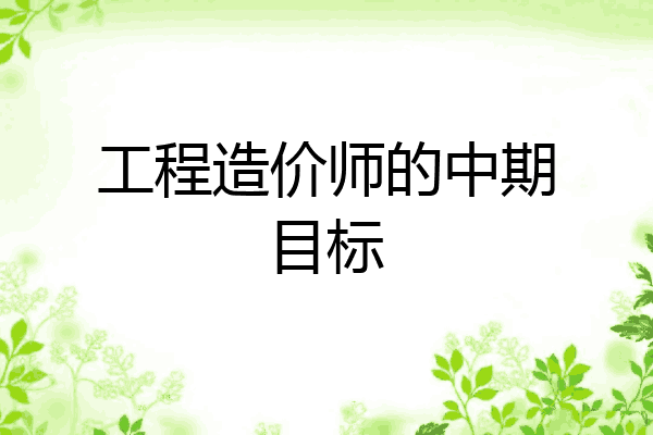 工程造价师的中期目标