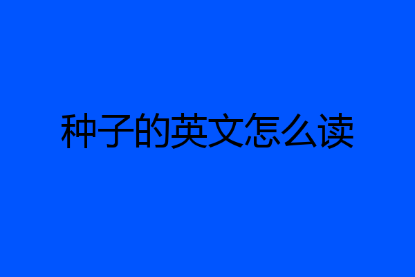种子的英文怎么读