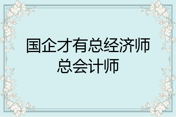 国企才有总经济师总会计师