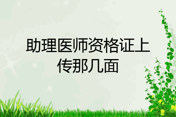 助理医师资格证上传那几面