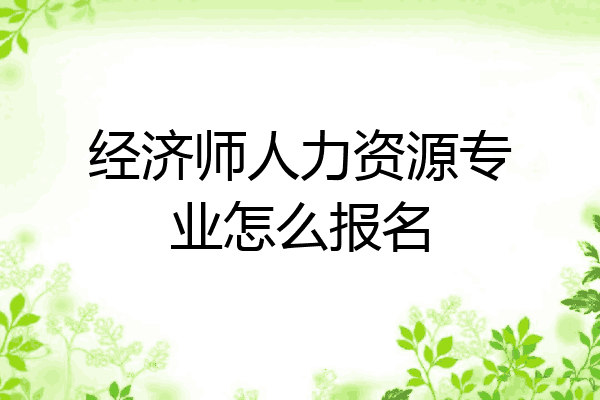 经济师人力资源专业怎么报名