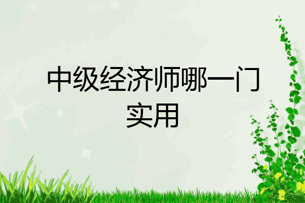 中级经济师哪一门实用