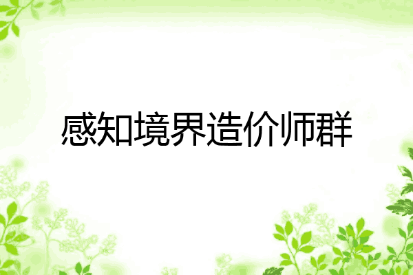 感知境界造价师群