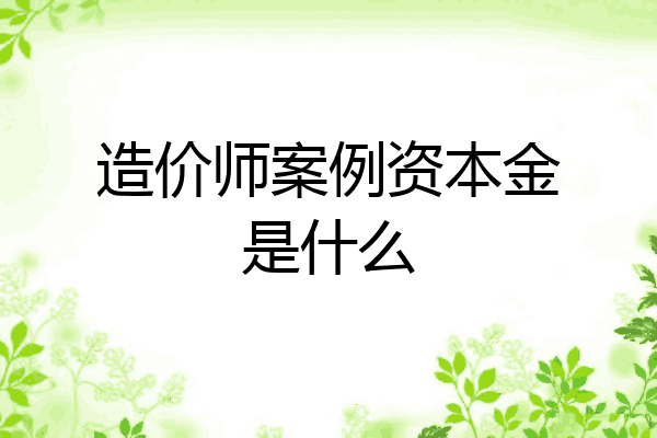 造价师案例资本金是什么