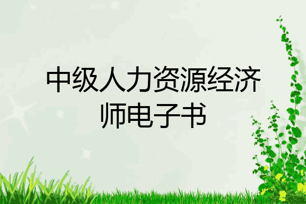 中级人力资源经济师电子书