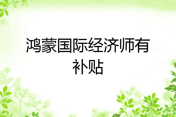 鸿蒙国际经济师有补贴