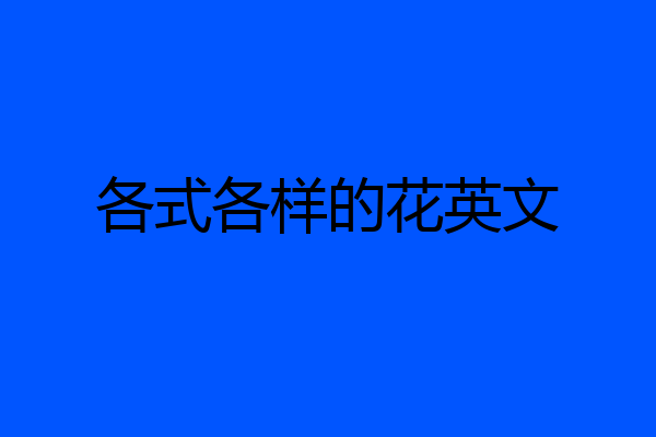 各式各样的花英文