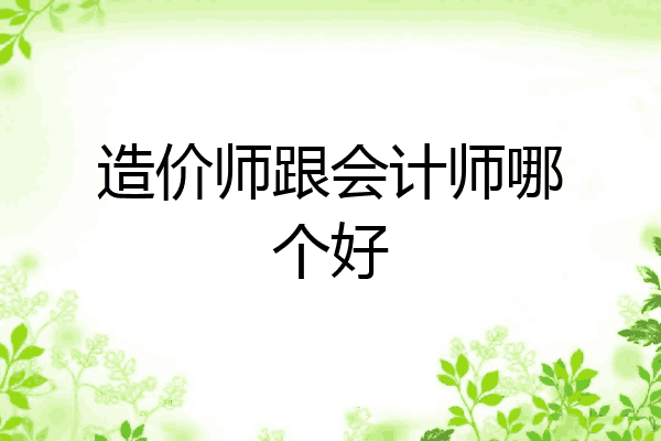 造价师跟会计师哪个好