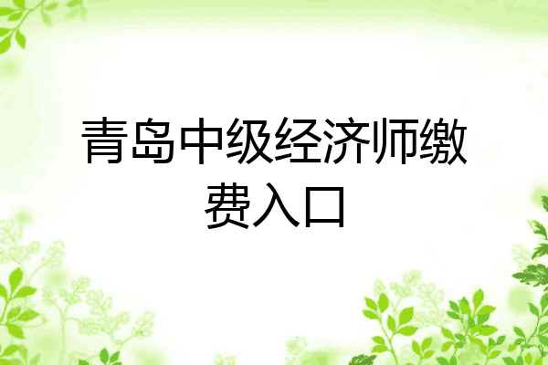 青岛中级经济师缴费入口