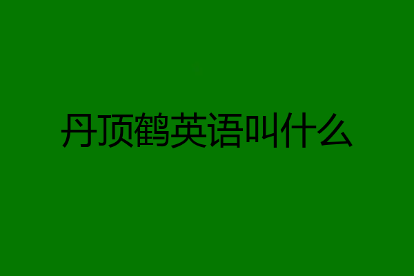 丹顶鹤英语叫什么
