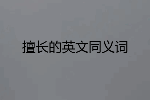 擅长的英文同义词