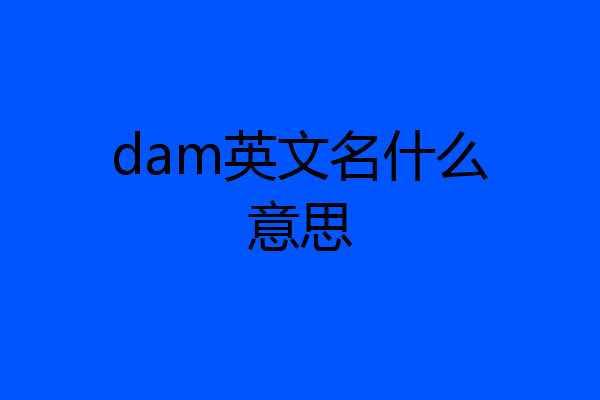 dam英文名什么意思