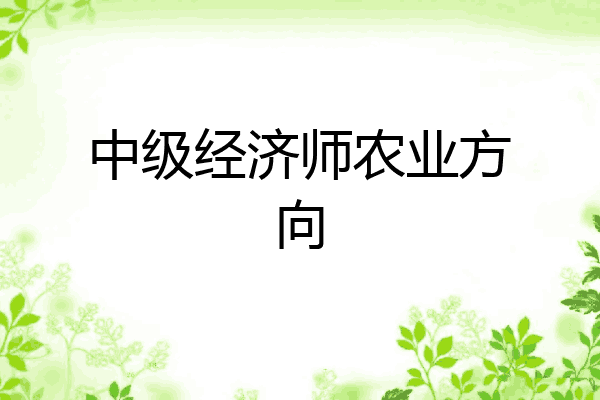 中级经济师农业方向