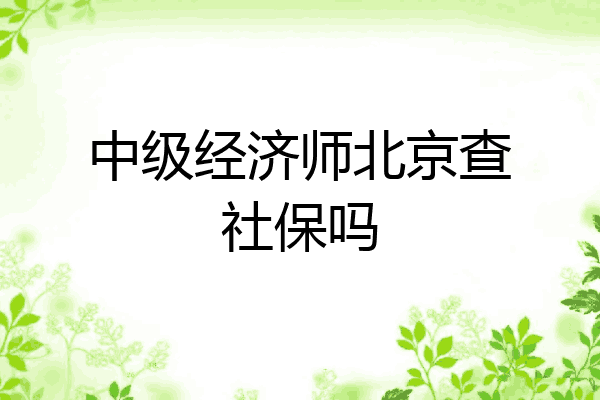 中级经济师北京查社保吗