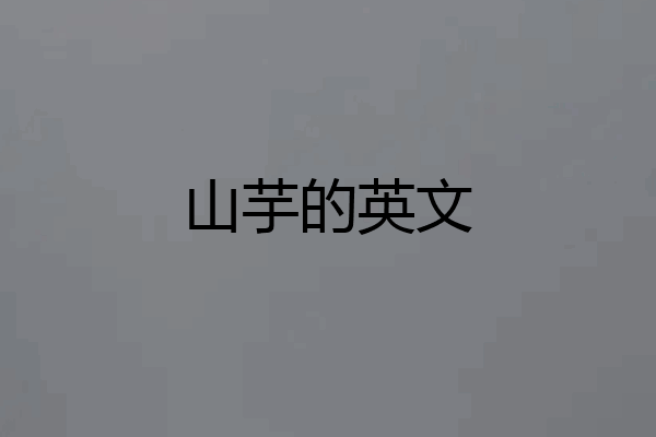 山芋的英文