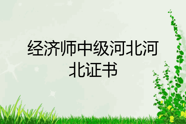 经济师中级河北河北证书