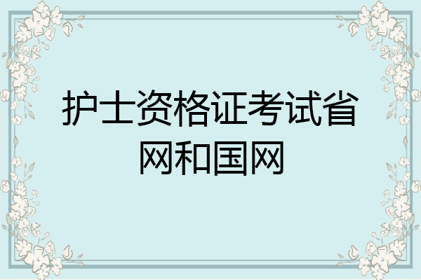 护士资格证考试省网和国网